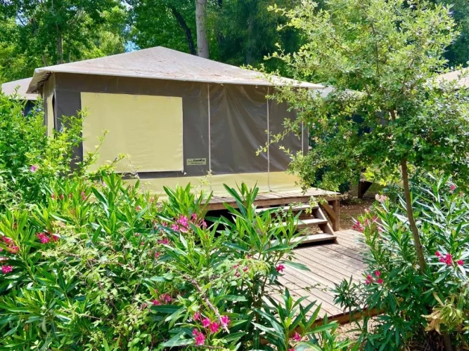 Family Tent