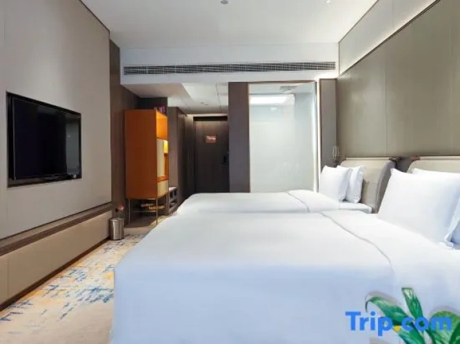 Deluxe Twin room with lake view