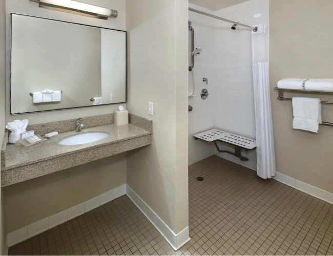 1 Bedroom Suite