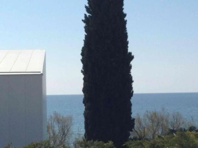Apartment with sea view