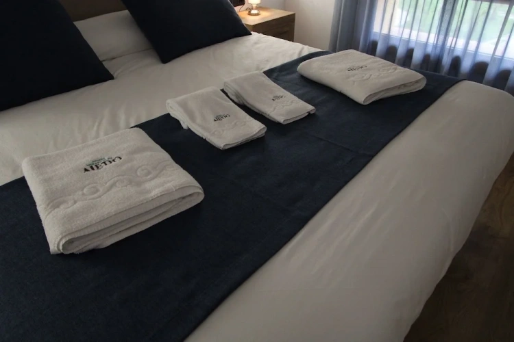 Luxury Suite