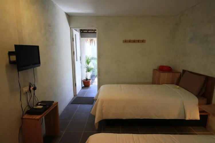 Standard Double room with view