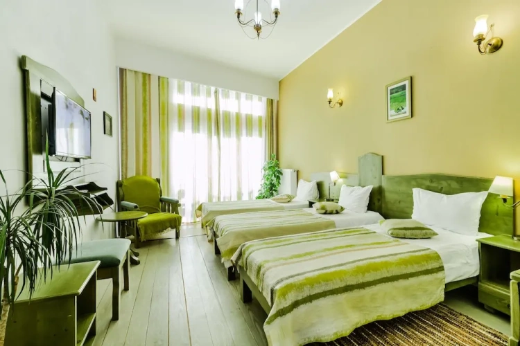 Comfort Twin room with balcony and with mountain view