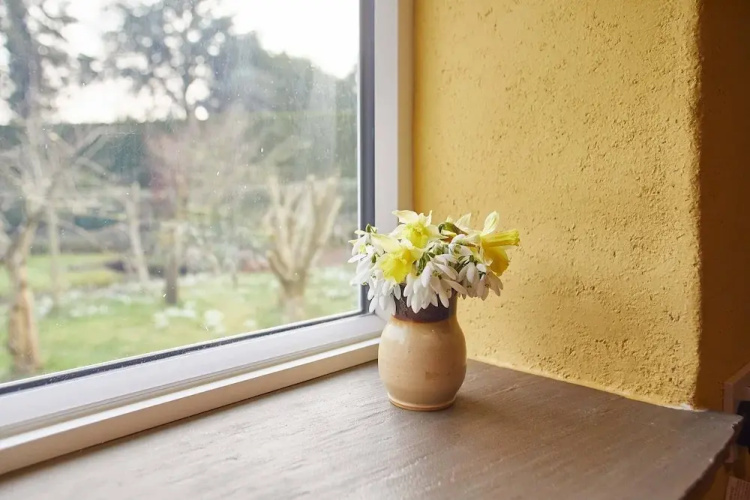 Snowdrop Cottage