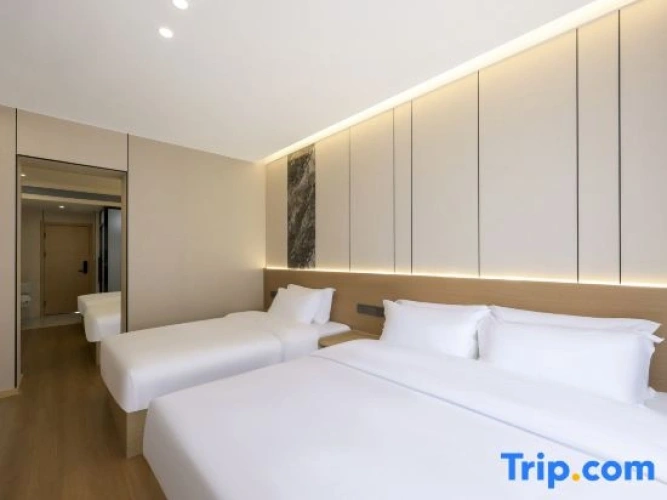 Quadruple Suite