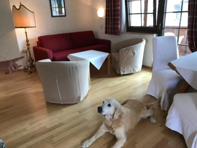 1 Bedroom Double Apartment