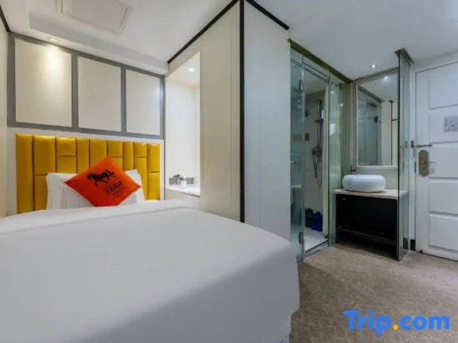 Grand Single room