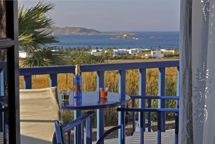 Arokaria Dreams