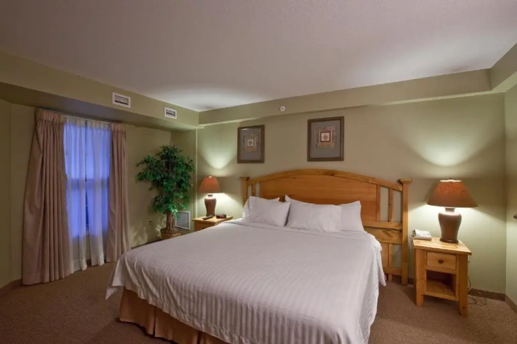 1 Bedroom Suite