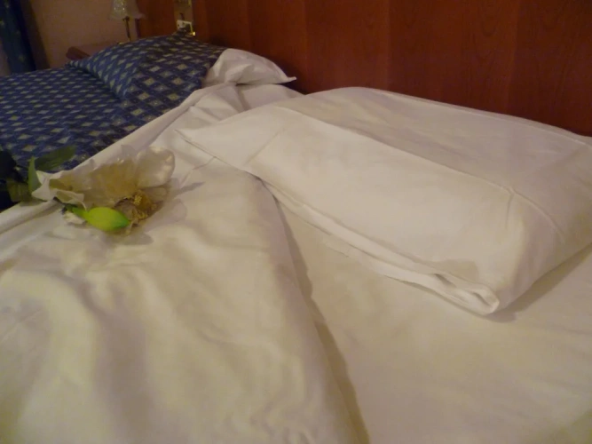 1 Bedroom Economy Double room with balcony