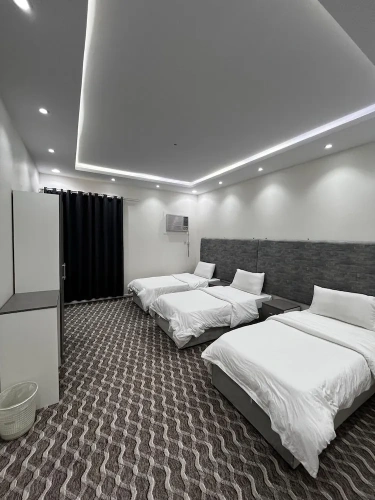 Luxury Apartment