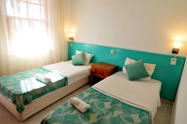 Economy Twin room with balcony and with garden view