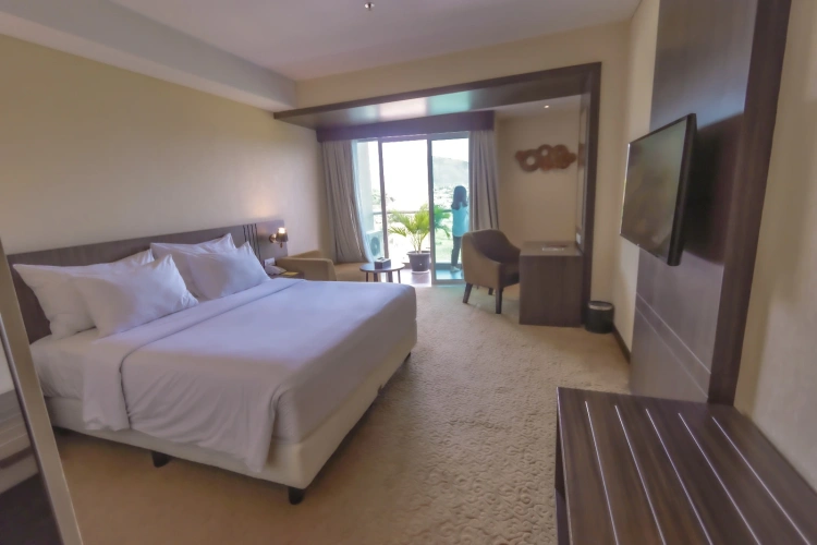 Deluxe Double room with mountain view