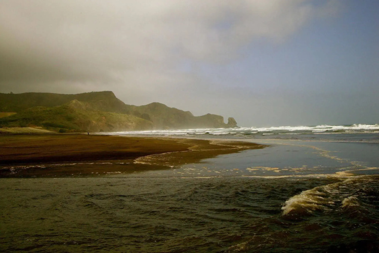 Bush Sand and Sea