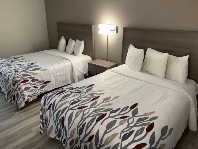 Deluxe Quadruple room