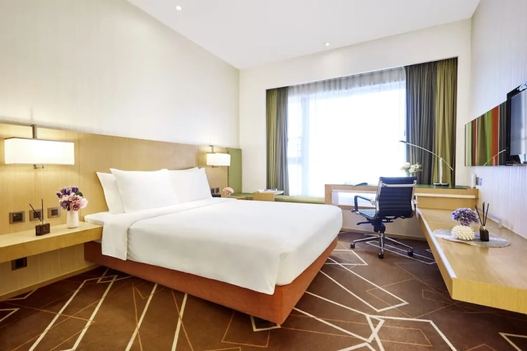 Standard Double room with city view