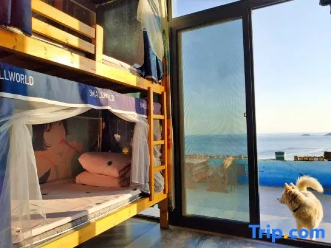 Bed in Dorm with sea view