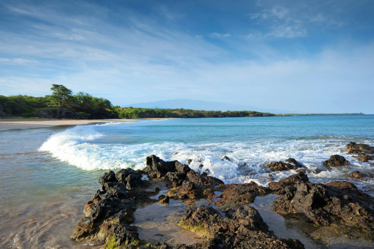 The Westin Hapuna Beach Resort photo 31