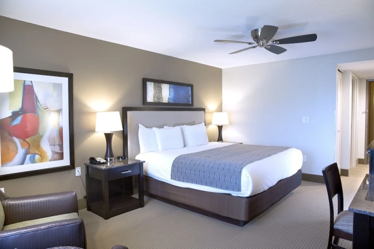 Deluxe Double room