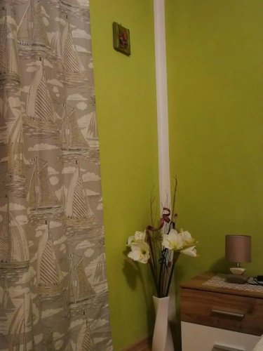 Apartment Tanjica