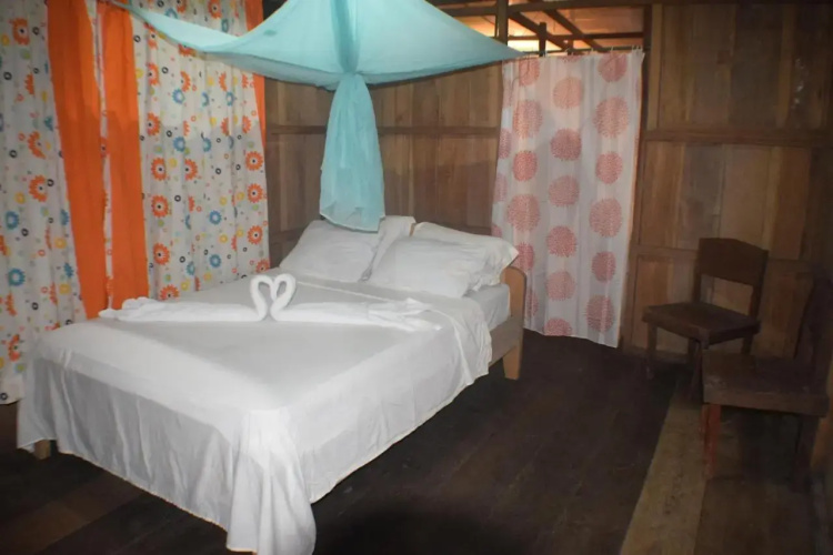 Lodge Jungle Wolf Expeditions