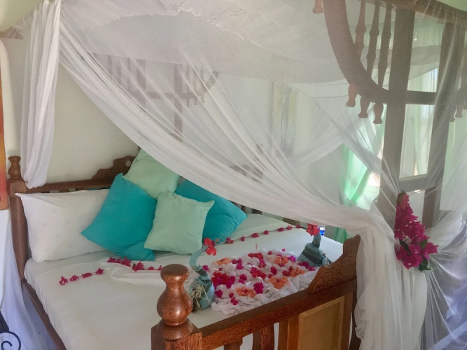 Driftwood Beach Lodge