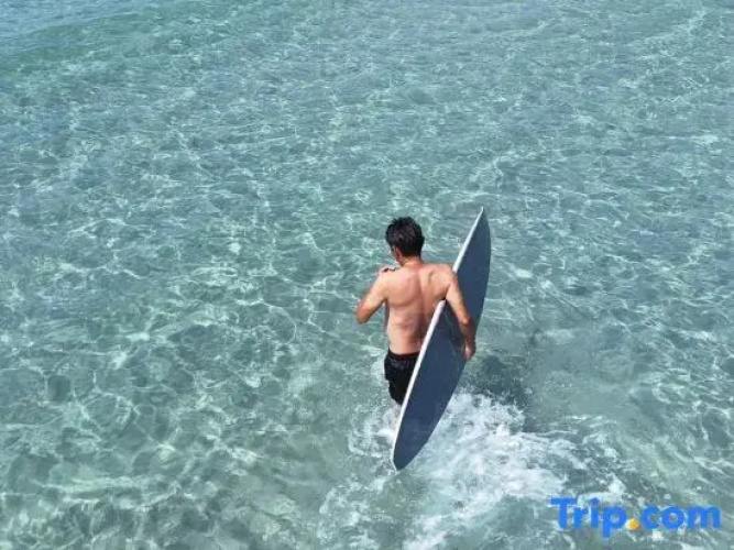 The Hi Ocean