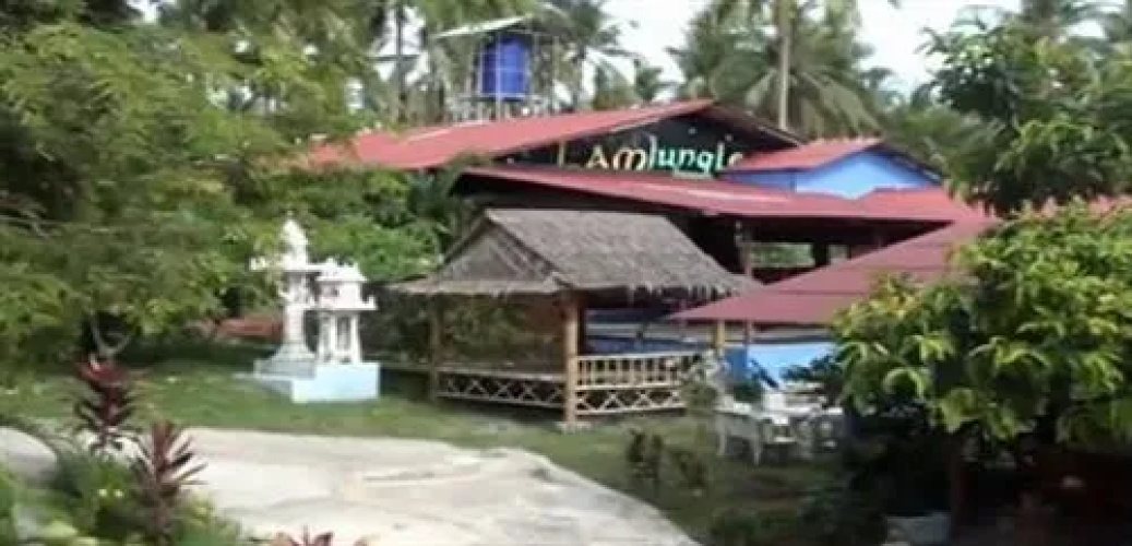 Jungle Gym Resort