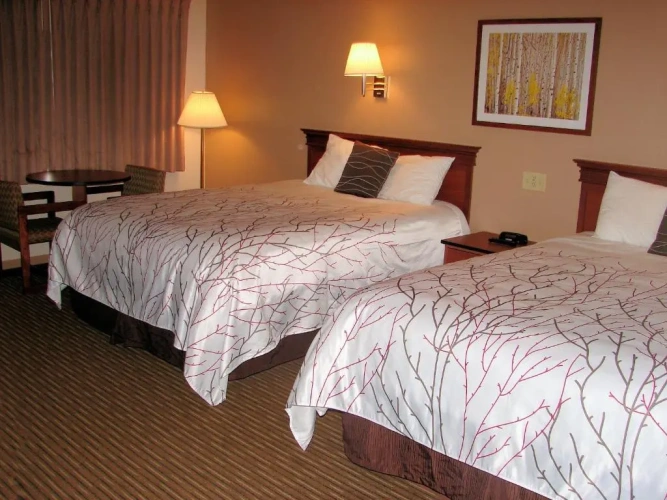 Deluxe Quadruple room
