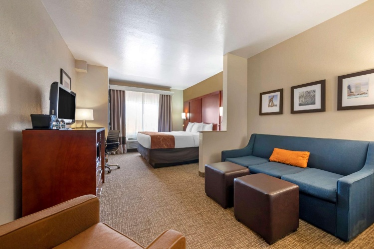 1 Bedroom Suite