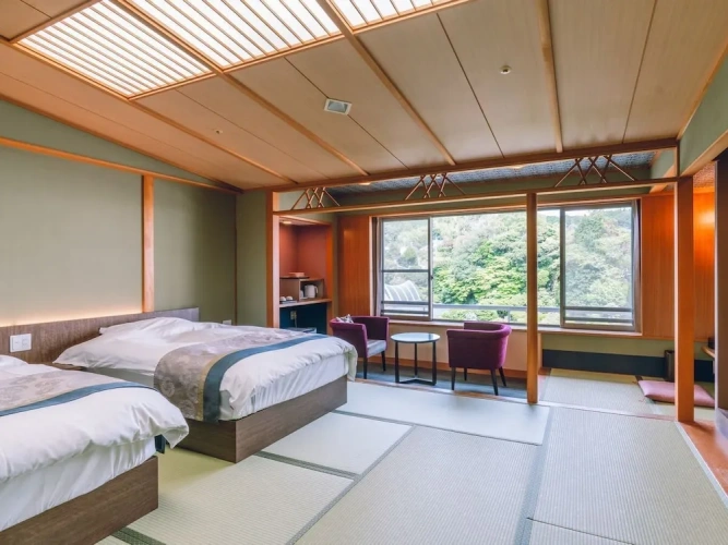 Superior Double room with mountain view