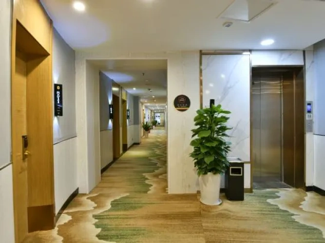 Hotel rooms