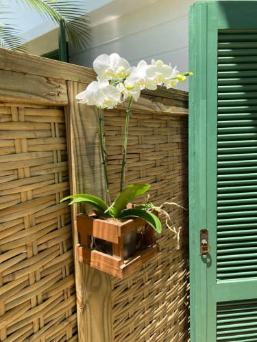 Vila dos Pássaros - Casa III
