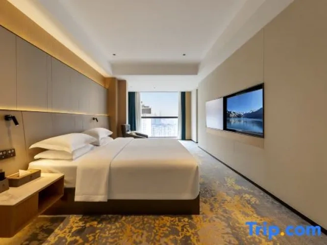 1 Bedroom Premier Suite