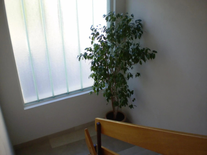 Apartment Jurasović