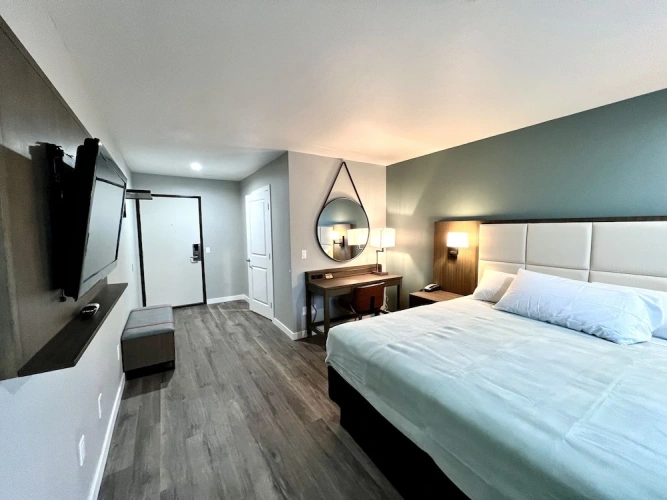 Junior Suite