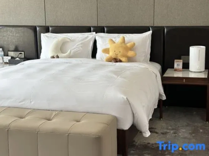Standard Double Family room