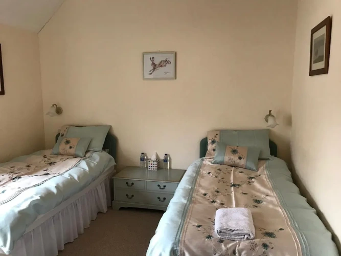 Comfort Twin room with garden view