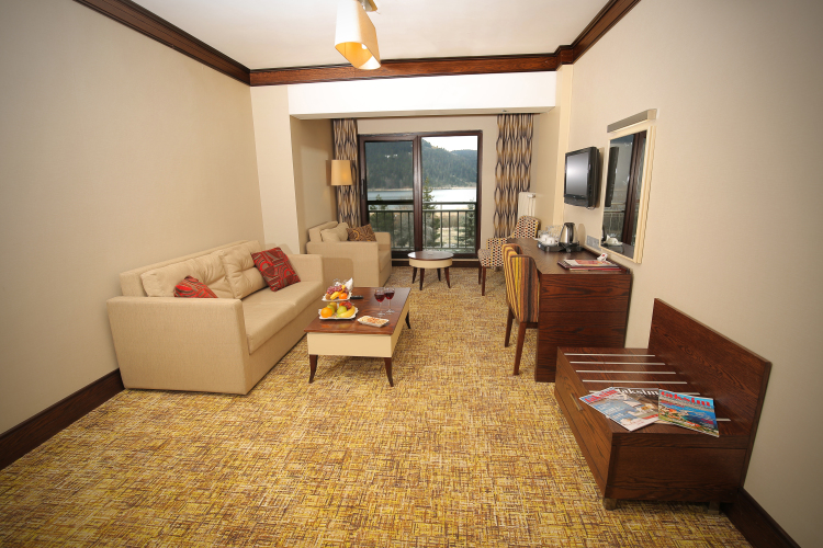 Abant Palace Hotel Over view