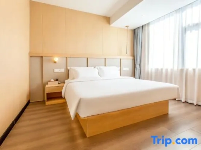 1 Bedroom Suite