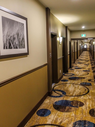 Best Western Plus Moosomin Hotel photo 15
