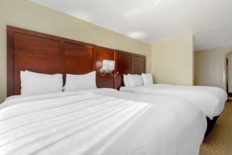 Quadruple Suite
