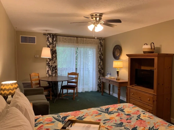 Premium Double room with balcony and with garden view