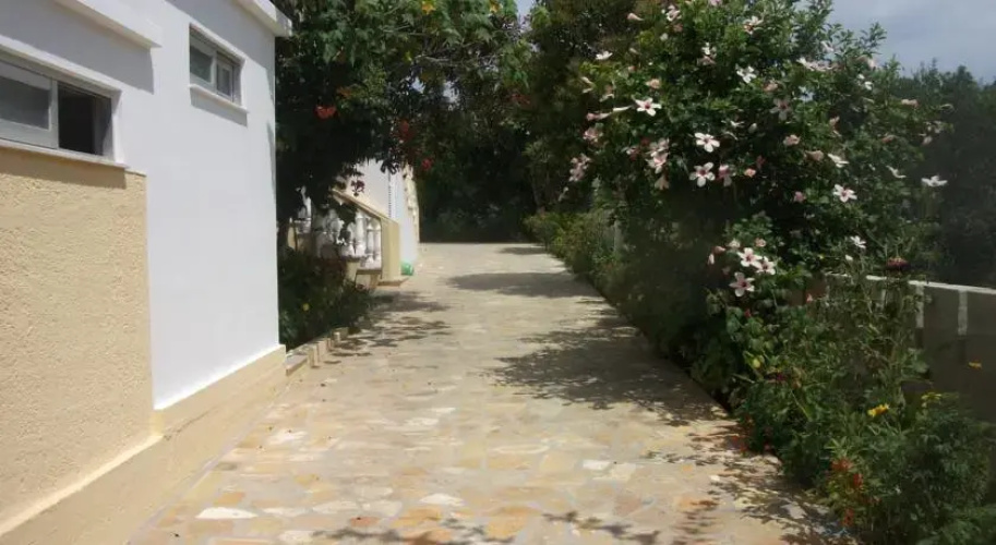 Alexandros Walnuttree Arillas Corfu