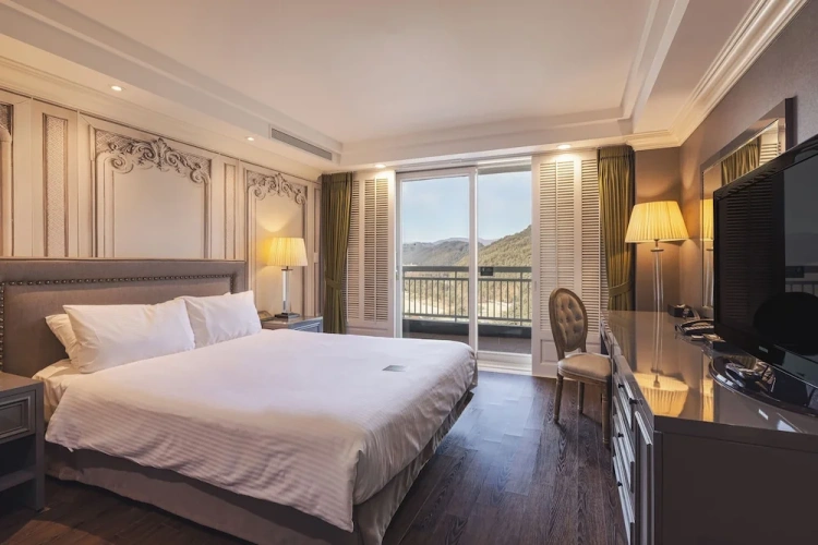 Deluxe Double room with balcony