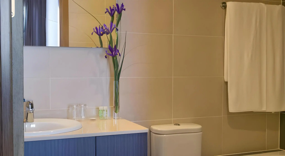 Aparthotel Compostela Suites photo 12