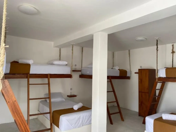 Bed in Dorm