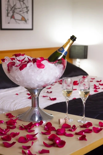 Superior Single Suite