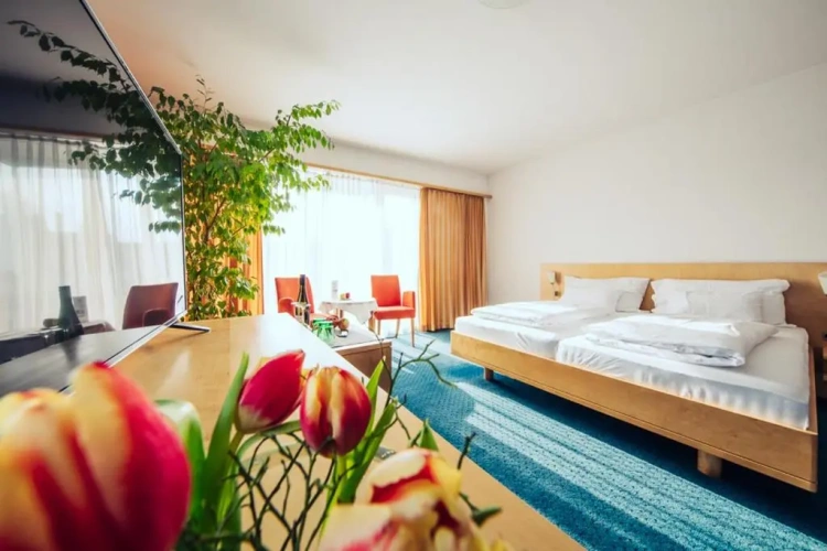 Superior Double room