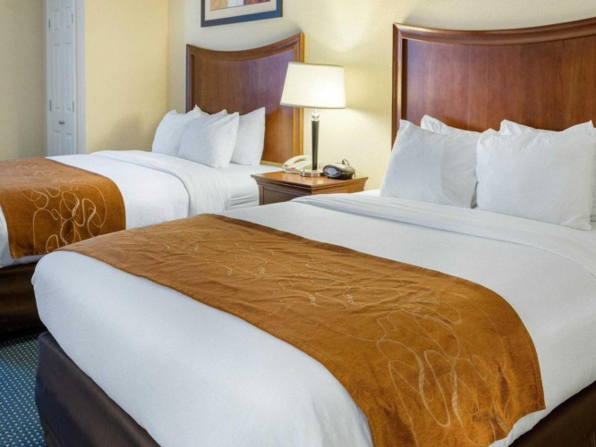 Quadruple Suite